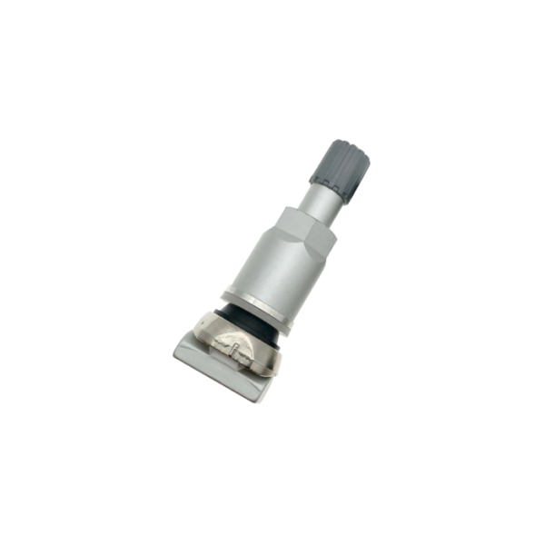 TPMS12